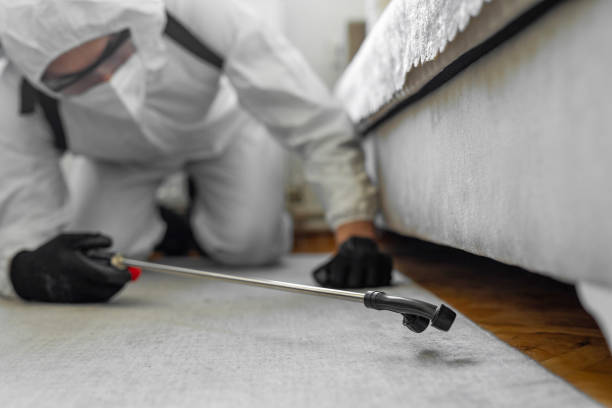 Professional Bed Bug Control technician working in St. Mary's County County, MD